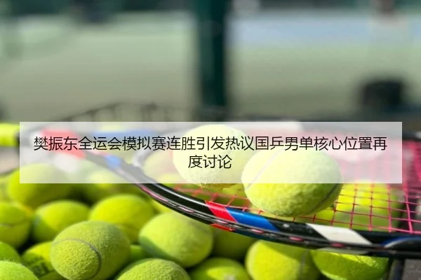 樊振东全运会模拟赛连胜引发热议国乒男单核心位置再度讨论