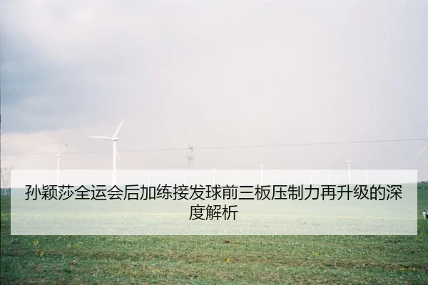 孙颖莎全运会后加练接发球前三板压制力再升级的深度解析